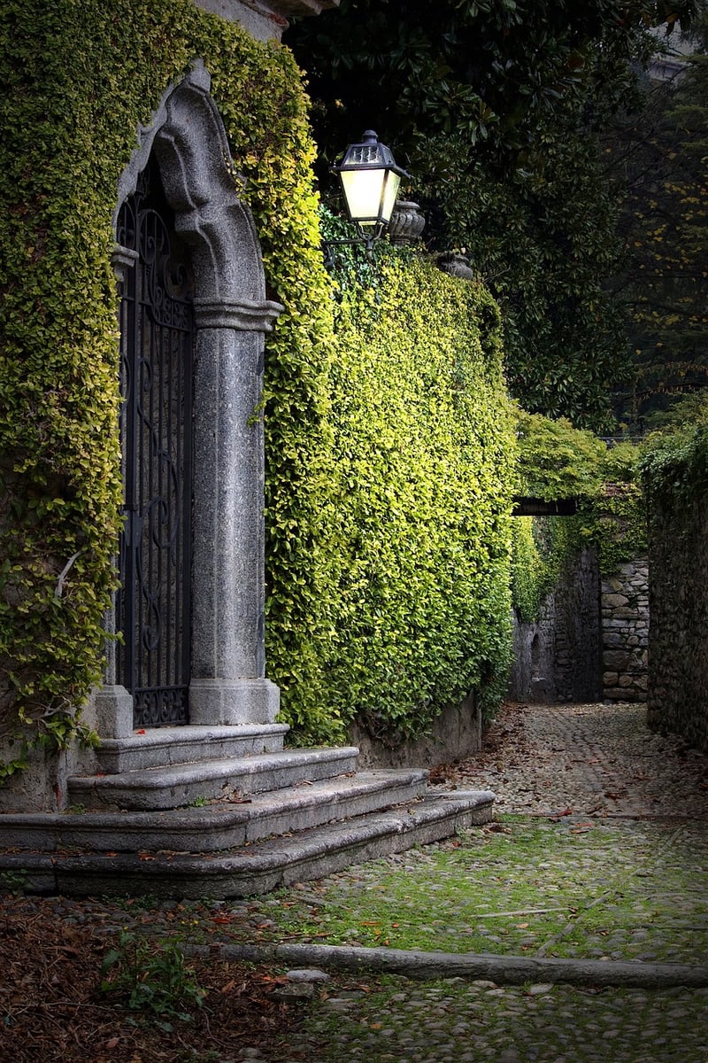 Spectral Gardens